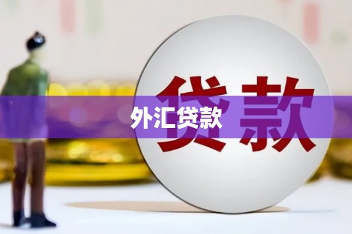 伊吾外汇贷款