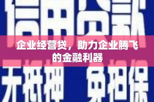 伊吾企业经营贷，助力企业腾飞的金融利器