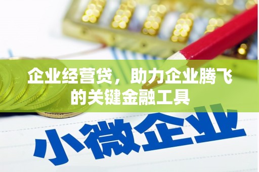 伊吾企业经营贷，助力企业腾飞的关键金融工具