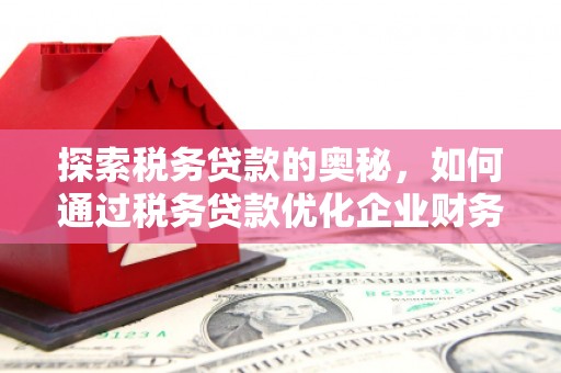 伊吾探索税务贷款的奥秘，如何通过税务贷款优化企业财务