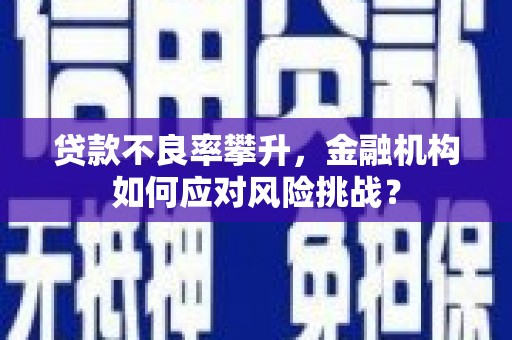 伊吾贷款不良率攀升，金融机构如何应对风险挑战？