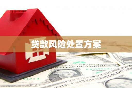 伊吾贷款风险处置方案