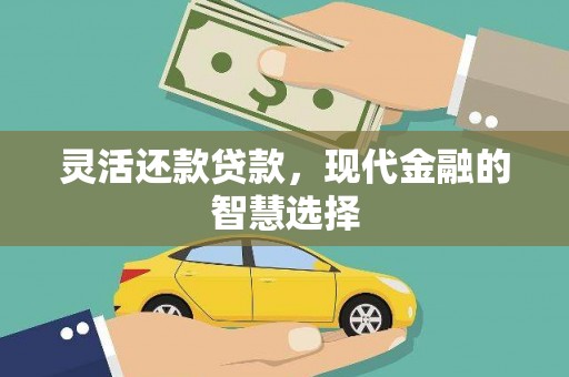 伊吾灵活还款贷款，现代金融的智慧选择