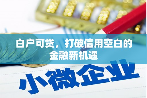 伊吾白户可贷，打破信用空白的金融新机遇