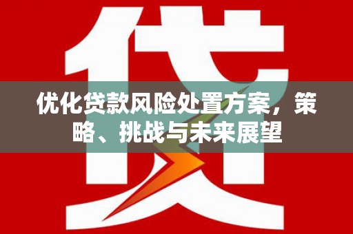 伊吾优化贷款风险处置方案，策略、挑战与未来展望