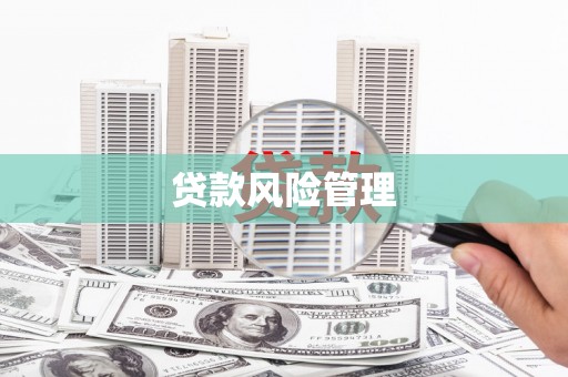 伊吾贷款风险管理