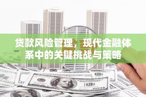 伊吾贷款风险管理，现代金融体系中的关键挑战与策略