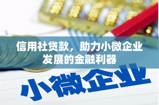 伊吾信用社贷款，助力小微企业发展的金融利器