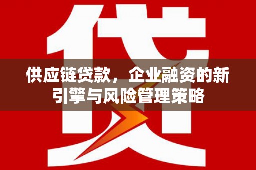 伊吾供应链贷款，企业融资的新引擎与风险管理策略