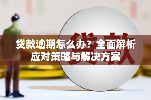 伊吾贷款逾期怎么办？全面解析应对策略与解决方案