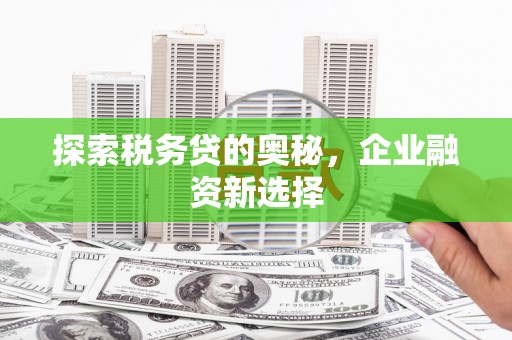 伊吾探索税务贷的奥秘，企业融资新选择