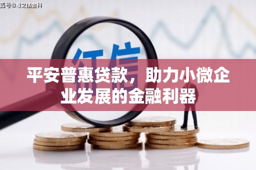 伊吾平安普惠贷款，助力小微企业发展的金融利器