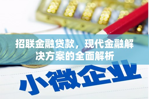 伊吾招联金融贷款，现代金融解决方案的全面解析