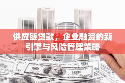 伊吾供应链贷款，企业融资的新引擎与风险管理策略