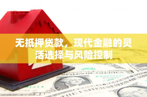 伊吾无抵押贷款，现代金融的灵活选择与风险控制