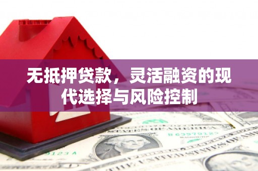 伊吾无抵押贷款，灵活融资的现代选择与风险控制