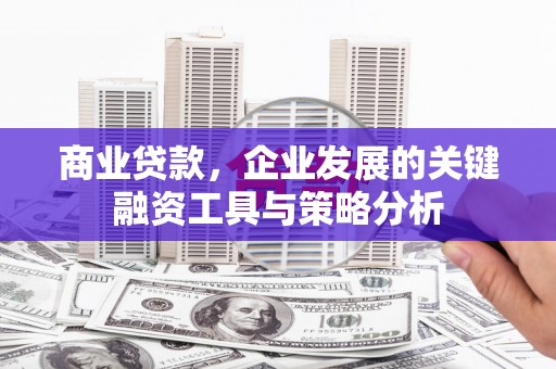 伊吾商业贷款，企业发展的关键融资工具与策略分析