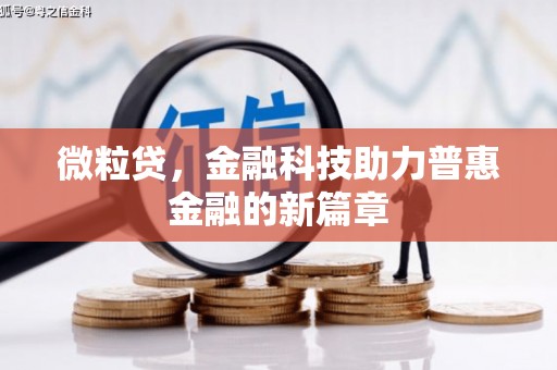 伊吾微粒贷，金融科技助力普惠金融的新篇章