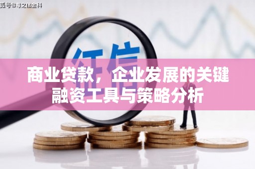 伊吾商业贷款，企业发展的关键融资工具与策略分析