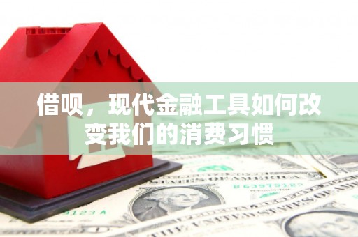 伊吾借呗，现代金融工具如何改变我们的消费习惯