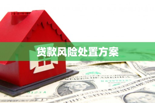 伊吾贷款风险处置方案