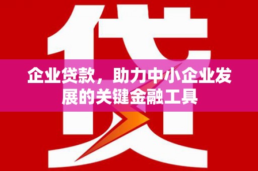 伊吾企业贷款，助力中小企业发展的关键金融工具