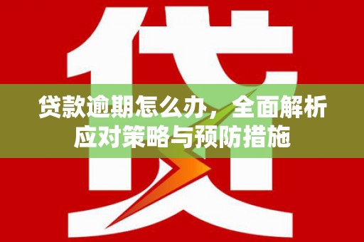 伊吾贷款逾期怎么办，全面解析应对策略与预防措施