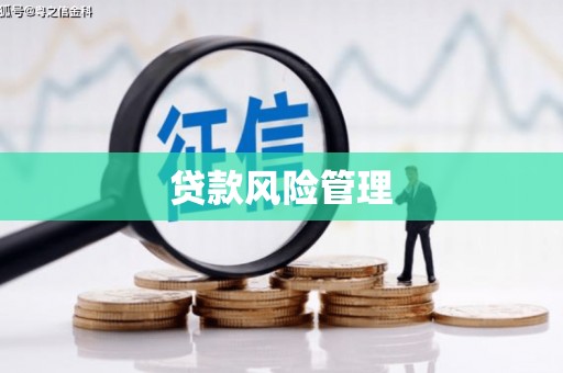 伊吾贷款风险管理