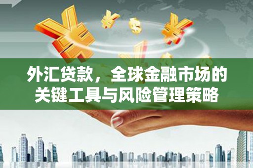 伊吾外汇贷款，全球金融市场的关键工具与风险管理策略