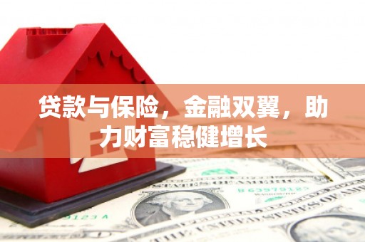 伊吾贷款与保险，金融双翼，助力财富稳健增长