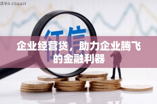 伊吾企业经营贷，助力企业腾飞的金融利器