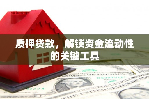 伊吾质押贷款，解锁资金流动性的关键工具