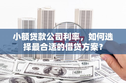 伊吾小额贷款公司利率，如何选择最合适的借贷方案？
