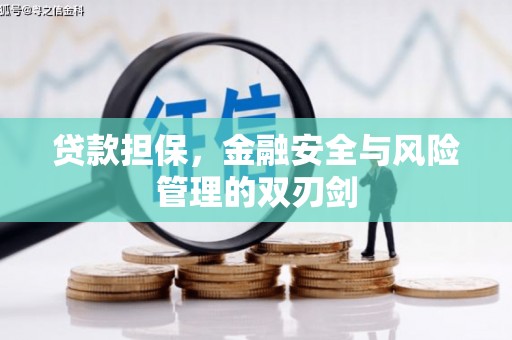 伊吾贷款担保，金融安全与风险管理的双刃剑