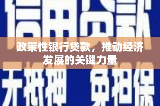 伊吾政策性银行贷款，推动经济发展的关键力量