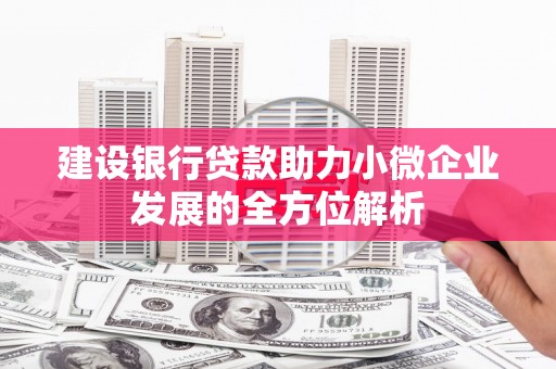 伊吾建设银行贷款助力小微企业发展的全方位解析