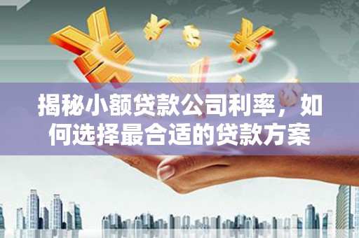 伊吾揭秘小额贷款公司利率，如何选择最合适的贷款方案