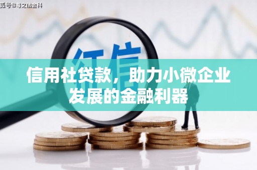伊吾信用社贷款，助力小微企业发展的金融利器