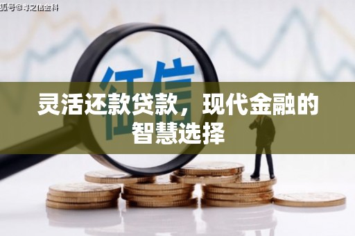 伊吾灵活还款贷款，现代金融的智慧选择