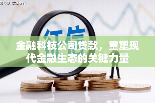 伊吾金融科技公司贷款，重塑现代金融生态的关键力量