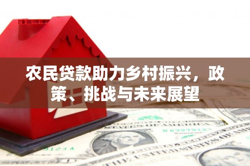 伊吾农民贷款助力乡村振兴，政策、挑战与未来展望