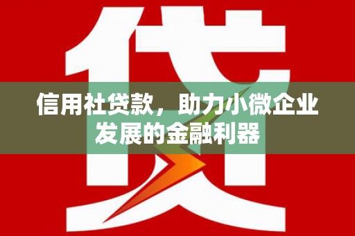 伊吾信用社贷款，助力小微企业发展的金融利器