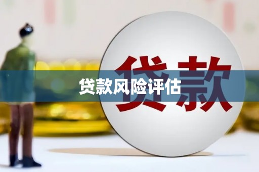 伊吾贷款风险评估