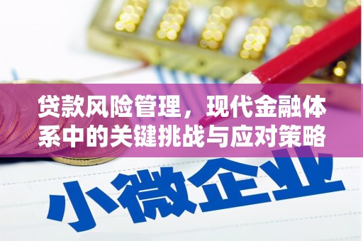 伊吾贷款风险管理，现代金融体系中的关键挑战与应对策略