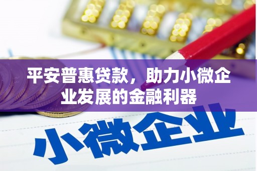 伊吾平安普惠贷款，助力小微企业发展的金融利器