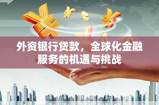 伊吾外资银行贷款，全球化金融服务的机遇与挑战