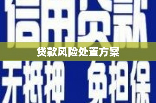 伊吾贷款风险处置方案