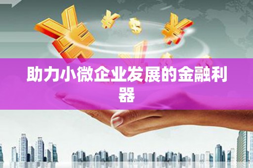 伊吾助力小微企业发展的金融利器