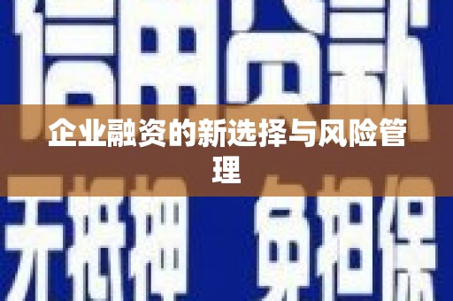伊吾企业融资的新选择与风险管理