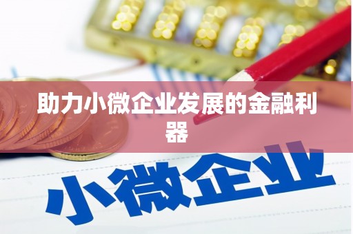 伊吾助力小微企业发展的金融利器